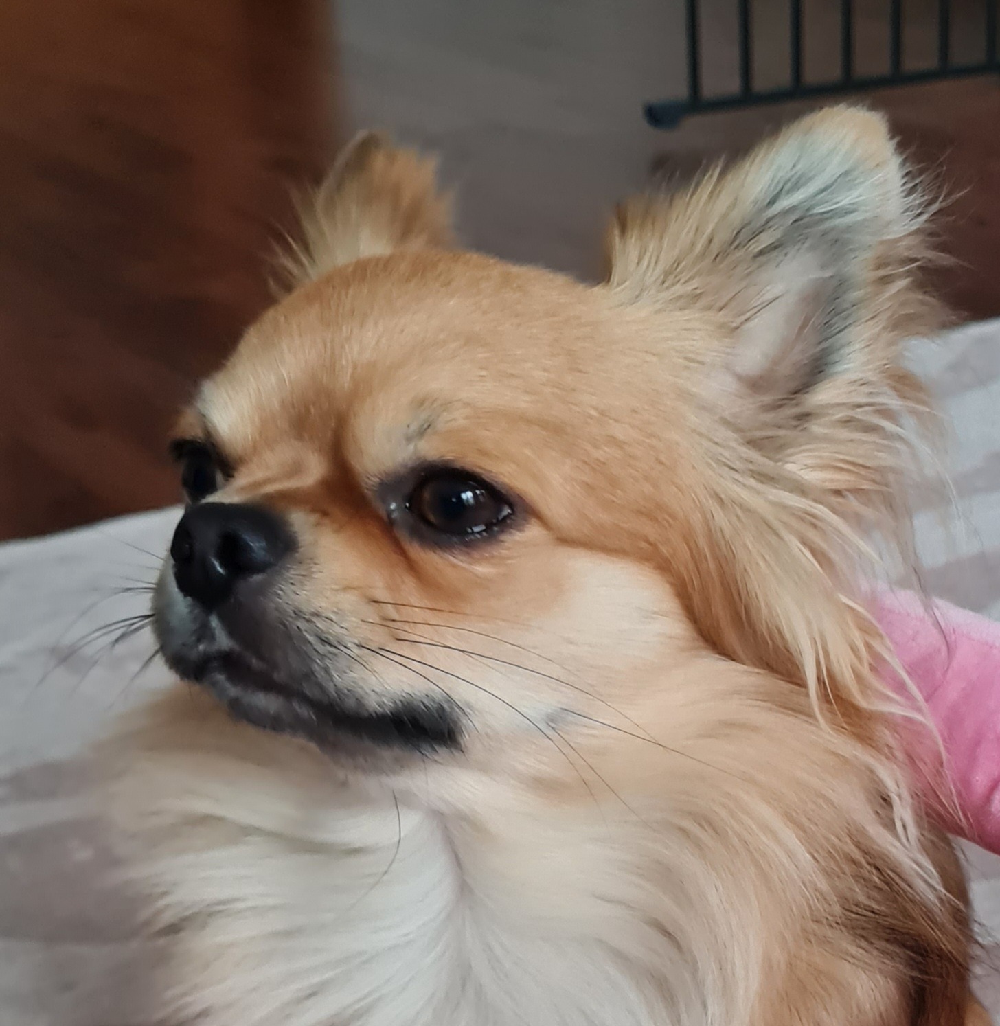 WhatsApp Image 2026-01-04 at 11.19.30