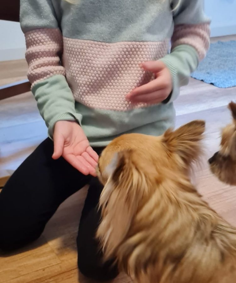 WhatsApp Image 2026-01-04 at 11.17.14